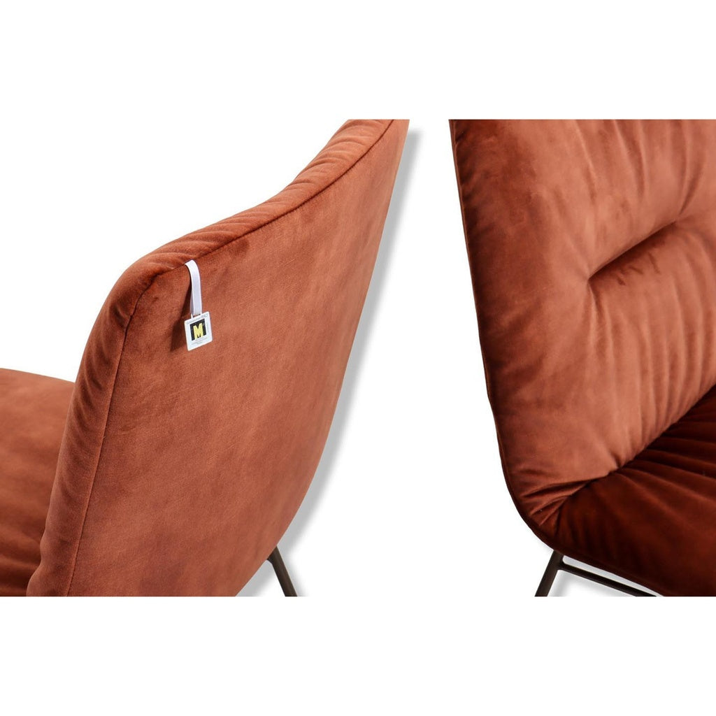 Willi Schillig LOTTA 11004 Stuhl- 2 er Set  Stoff S41 copper
