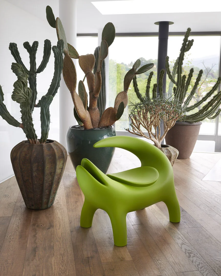 SLIDE KROKO – Milieubild 3