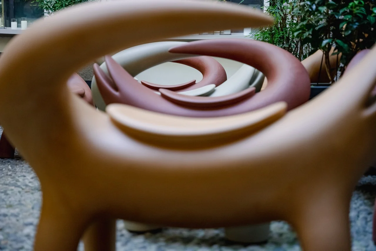 SLIDE KROKO – Milieubild 8